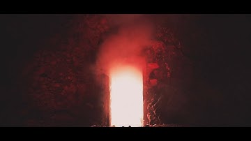 Basic Biology - Melting Patterns (Official Video)