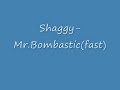 Shaggy Mr Bombastic Speed Up