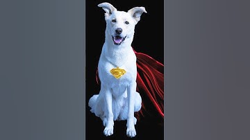 Is Krypto The Secret Weapon Of Superman 2025? #superman #superman2025 #dc #dcu #dcuniverse