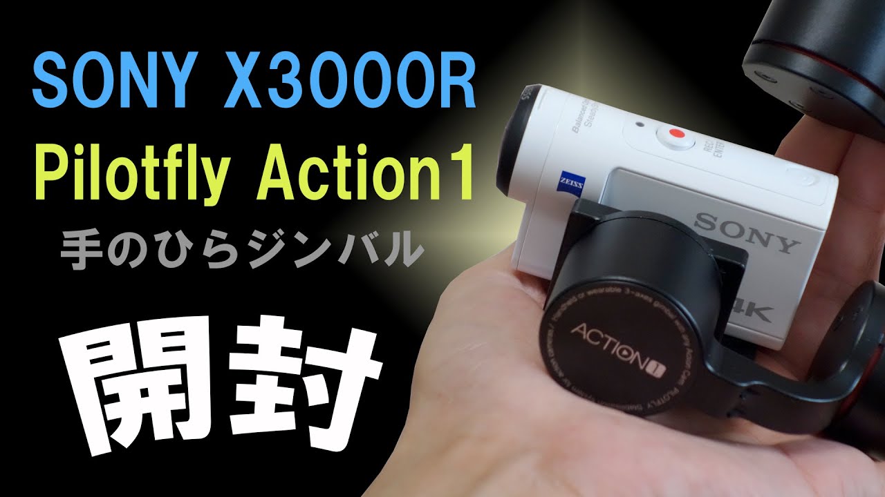 PILOTFLY パイロットフライ Action1 アクションカム用 ３軸電動