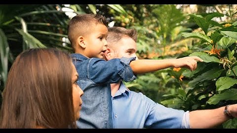 Fred & Dorothy Fichter Butterflies Are Blooming 2019