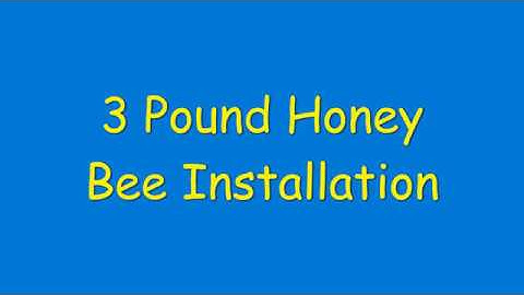 3 pound HONEY BEE INSTALLATION