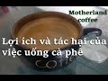 LỢI ÍCH VÀ TÁC HẠI CỦA VIỆC UỐNG CÀ PHÊ HẰNG NGÀY - MOTHERLAND COFFEE