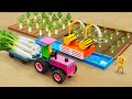 Diy tractor making mini double water pump supply water  planting  harvesting radish farm  hp mini