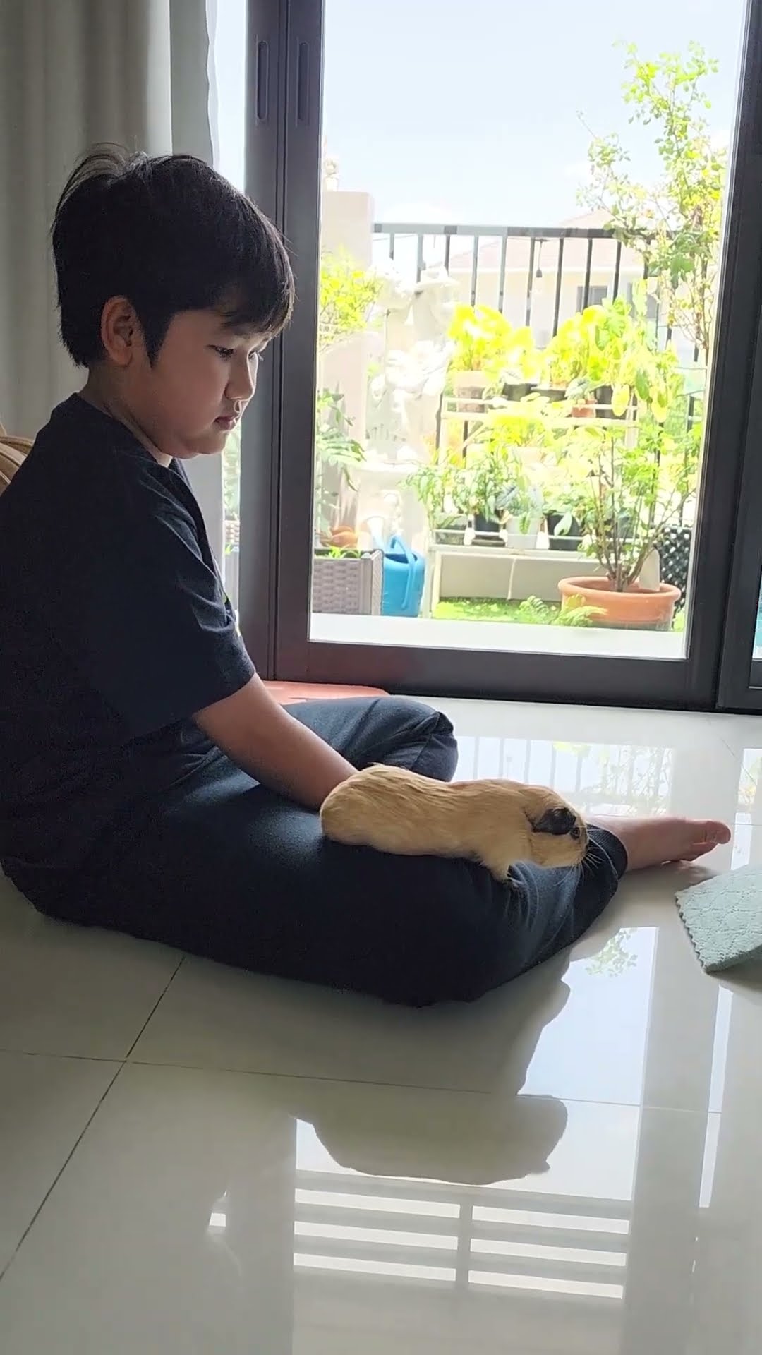 น้องบีมสอนหนูแกสบี้เดินขึ้นบ้าน