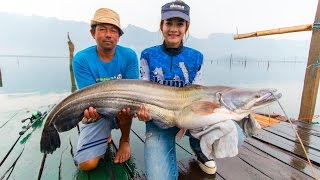 ล่าปลาค้าว 15 กิโล ที่เขื่อนเขาแหลม by fishingEZ