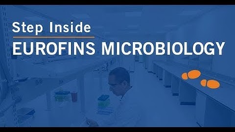 Step Inside Eurofins Microbiology