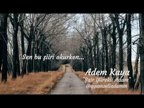 Sen bu şiiri okurken... (Şiir) - Adem KAYA