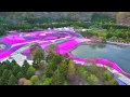 空から見る「富士芝桜まつり」