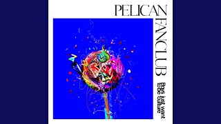 Miniatura del video "PELICAN FANCLUB - Non Mary"