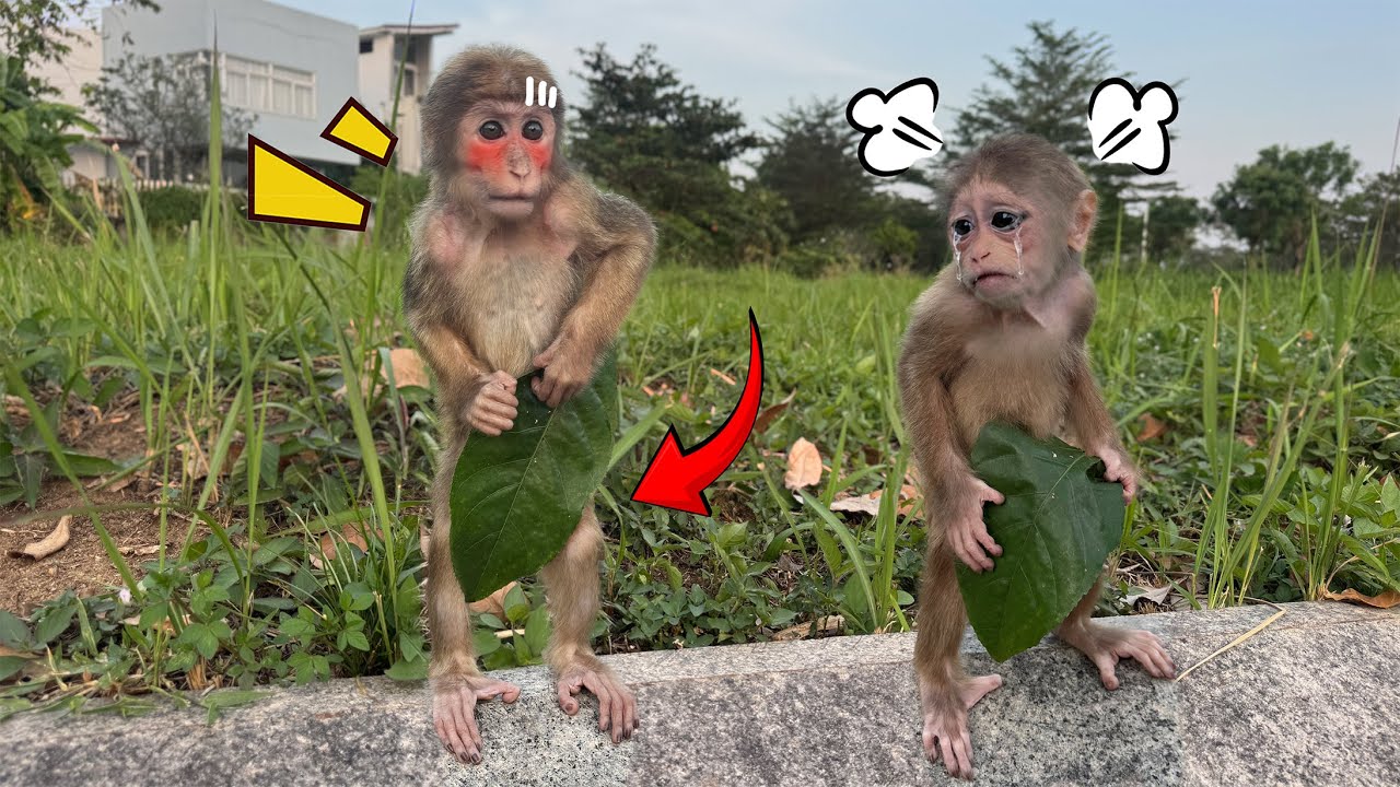 An Incident Happens! Lucky and Sunny Go Out to Play Without Wearing Clothes