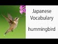 How to say "Hummingbird" in Japanese