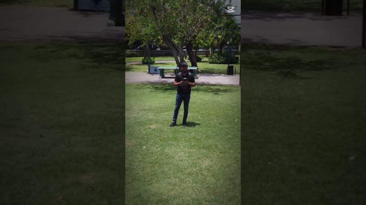 Soaring through the Park!☀️ 