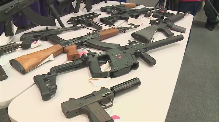 Illinois lawmakers hold hearing assault rifle ban proposal