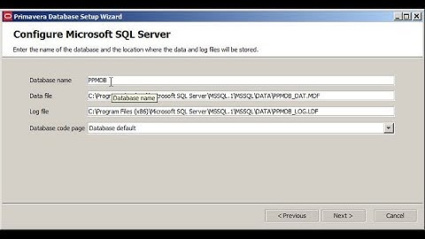 Connect and Configure Primavera p6 17.7 with Sql Server on Windows 10,11 @P-8