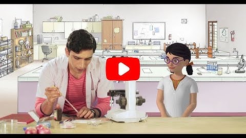 Digital Transformation in eLearning