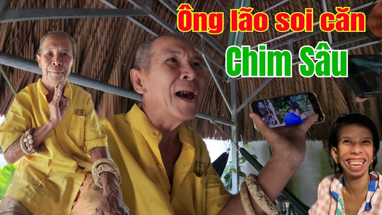🔴Ông Lão Ve Chai Soi Căn Cho Gia Đình Chim Sâu Quá Hay.