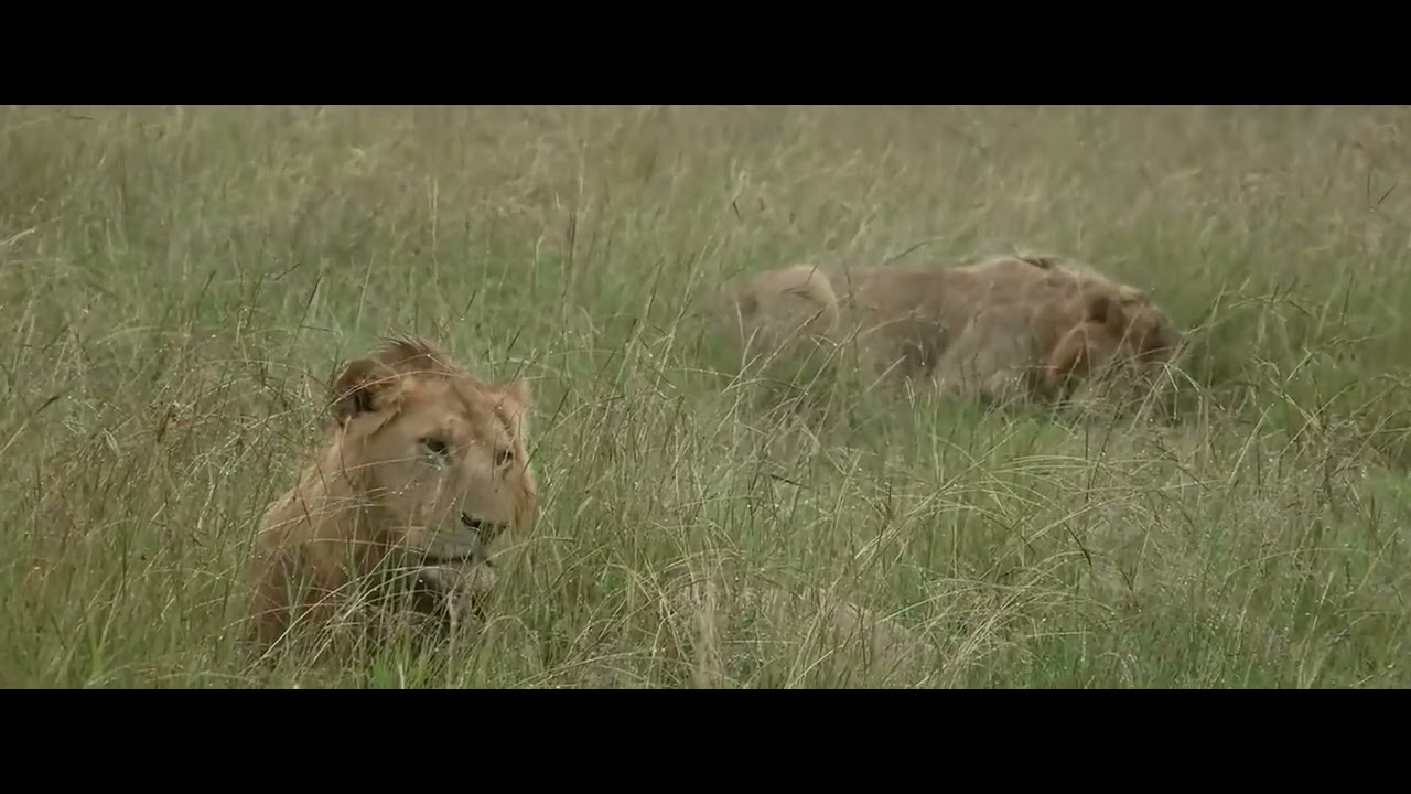 R5 - Rongai Boys in the rain