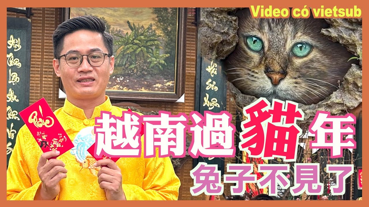 越南過貓年 兔子不見了 越南過年傳統文化 #越南 #新年 | 越南中年大叔