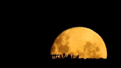 Full Moon Silhouettes