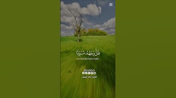 القارئ خالد الجليل 🌿🌿 #القران #قرآن 🌿 #اكسبلور #duet #الرحمن #دويتو