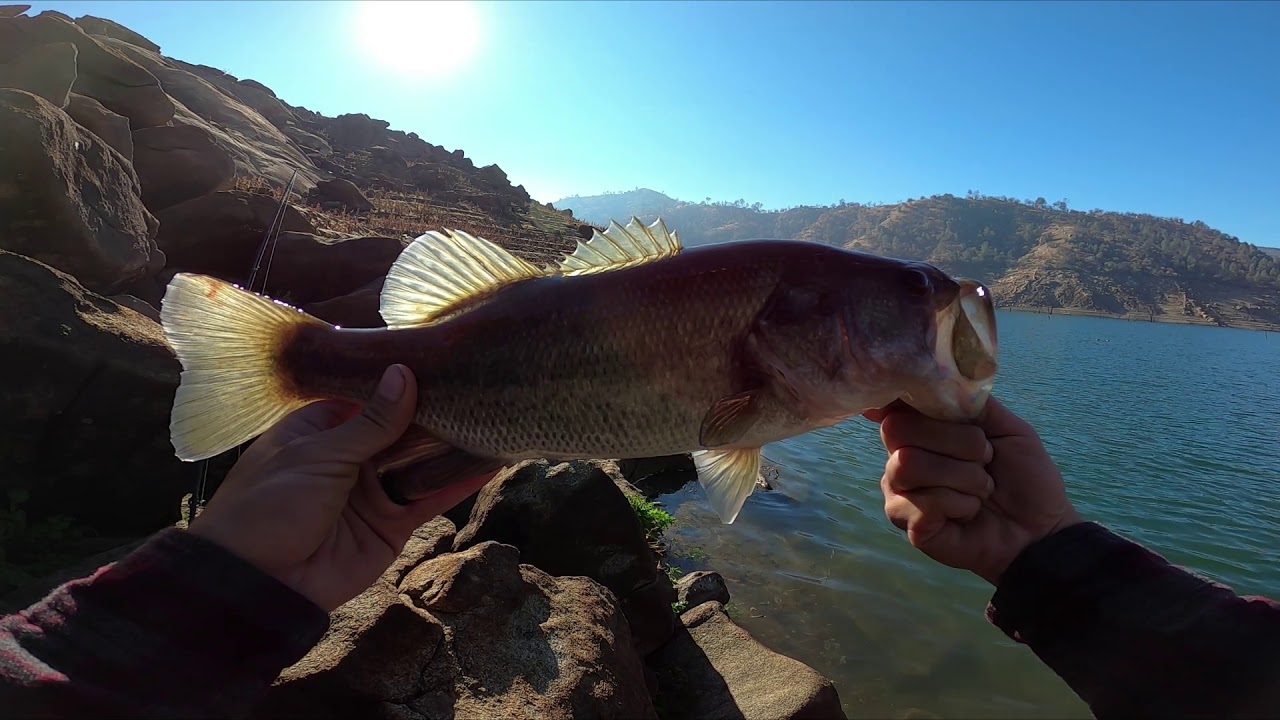 Winter Bass Fishing Pine Flat Lake, CA 12/21/2020