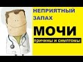 Неприятный запах мочи – причины и симптомы