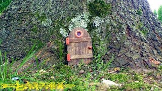 How To Make A Fairy Door | Makers Challenge | LarpMix
LarpMix Merchandise! Help me buy a clothes iron and support the channel with cool gear!
https://my-store-11461686.creator-spring.com/
In this video, Maxx shows us how to make a fairy, faerie, pixie, brownie, door mouse, sprite, borrower, or whatever door. These tiny doors can bring to life the imagination of anyone and are a great addition to larps, especially medieval fantasy style ones.
This is a simple and basically free way to make a fairy door. But you could use anything you have around, even if its just cardboard and markers. But you can also do the opposite and buy small items for doll houses, or use pieces of miniatures or small led lights, and if you have static grass or flock from other hobbies, its perfect for this. The sky is the limit.
Because this is a Makers Challenge, as others create fairy doors, Maxx will add links to this video or create a playlist, so be sure to check back in a while for other fairy door ideas!
They can be interacted with to begin quests, or simply used as background ambience for immersion. Modern, post-apocalyptic and other versions of these tiny doors could be fun, depending on your setting. For example, fae arent really found of iron, so I chose to make anything metal copper colored instead.
Of course, these are also great kids projects for school or just for decoration. They can be used inside and outside. If going outside, Maxx suggests spraying them with clear coat, so they last longer.
If you are going to permanently leave one in the nook of a tree or rocks, try backing and surrounding the door with mud or tiny stones, to really sell the idea that the door is connected, so basically fill in the gaps between the door and mounting surface. If being mounted against something flat like a wall, then just some tape will hold it flush and look great!
I look forward to seeing others creations, and Adventure On!
Please Like, Comment, Subscribe and Share my videos!
Follow me on Instagram, Twitter and Facebook: @larpmix
If you enjoy my channel, please help make it better:
https://www.patreon.com/larpmix
or
https://www.ko-fi.com/larpmix
Business Inquiries, Collabs, Requests, Etc: Larpmix@gmail.com
Crunk Knight, Lamentation, Ascending The Vale and Folk Round by Kevin MacLeod are licensed under a Creative Commons Attribution license (https://creativecommons.org/licenses/by/4.0/)
Source: http://incompetech.com/music/royalty-free/index.html?isrc=USUAN1400044
Artist: http://incompetech.com/
#LarpMix#fairydoor#LARP#larping#fae#cottagecore#fantasycrafting#elf#kidsproject How To Make A Fairy Door | Makers Challenge | LarpMix