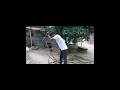 আজকে আমরা সবাই কুশার খাব নতুন নতুন কুশার #shortsviral #funny #shorts #anikvaivlog #vlog
