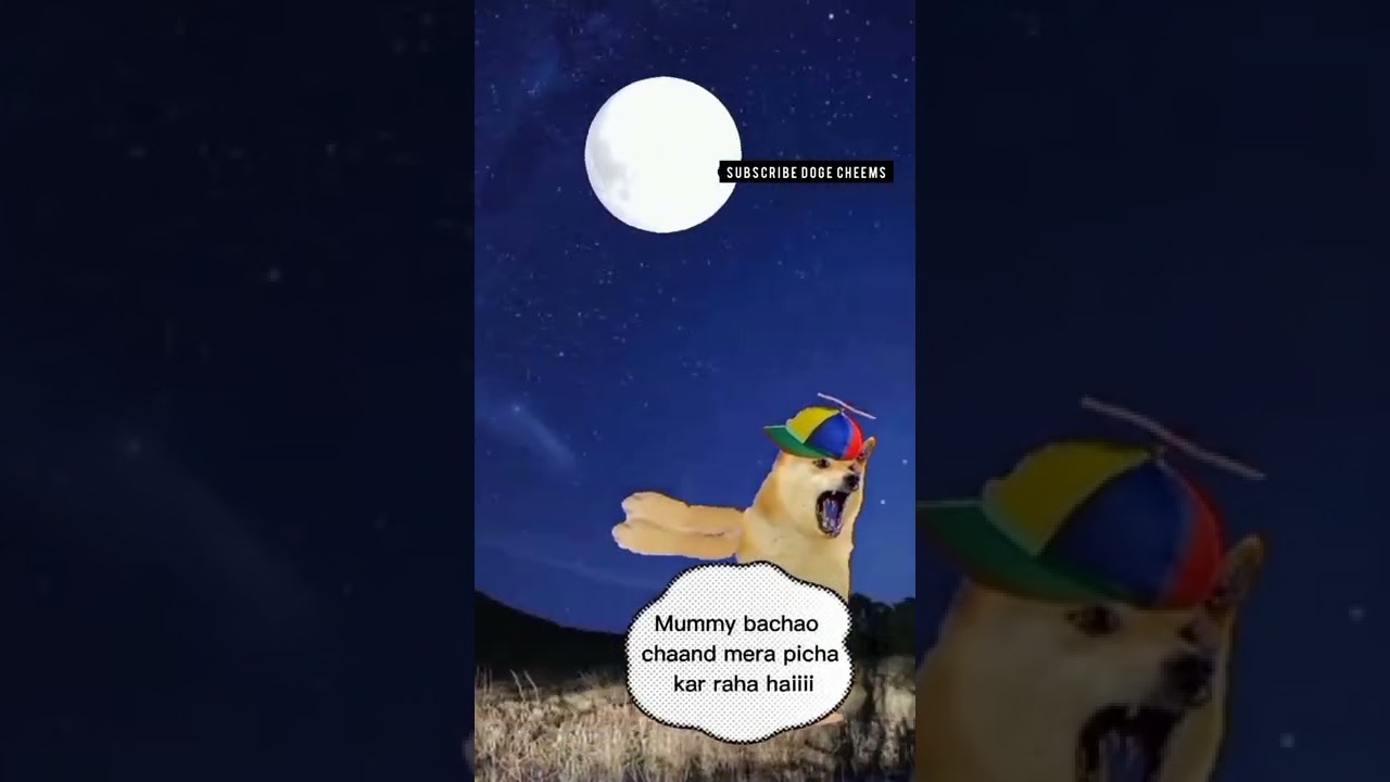 Bhagoo BC! 🤣🤣🤣