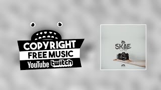 Skae - Vlog Song [Bass Rebels] No Copyright Music