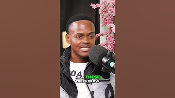 Fibonacci & Financial Markets - the Secret to Forex Trading revealed 📈💰