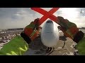 GoPro - Singapore Airlines Cargo Ramp Agent POV at Chicago O'Hare Int'l Airport [01.27.2014]