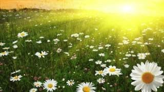 Piano Jazz & Jazz Piano: Parisian Summer (2 Hours of Best Smooth Jazz Piano Music)