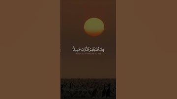 #ماهر_المعيقلي #تلاوات #القرآن_الكريم #تلاوة_خاشعة #القرآن #آيات #تلاوة #quran #قرآن#قران_كريم #ترند