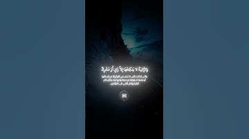 شيخ عاصم اللحيدان #تلاوة جدا جميلة #القرآن_الكريم #shots #لايك #عاصم_اللحيدان #قرآن #سورة_النور