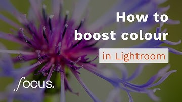 The best way to boost colour in Lightroom