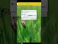 Remote desktop connection | Remote desktop connection windows 10