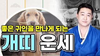 2024년 양력 4월 개띠 운세