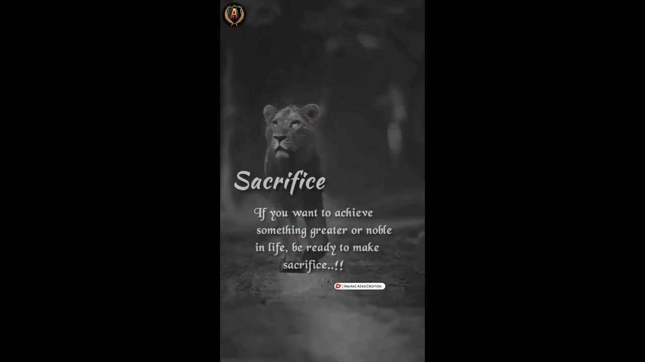 English Quotes of Life  Full screen whatsapp status  Motivational Quotes  Lines about life