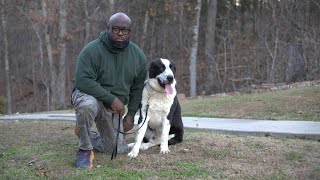 EXCLUSIVE INTERVIEW  JOE CHURCH  N.W.A. CANE CORSO  CENTRAL ASIAN SHEPHERD