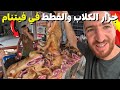أغرب سوق في الفيتنام يباع فيه لحم الكلاب و القطط وبعض الأطعمةالغريبة لا تتفرج وأنت تاكل هشام يسافر 