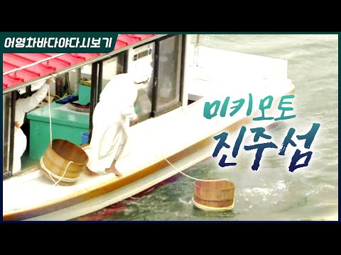 1893년 세계 최초로 진주양식에 성공한 미키모토, 진주 양식에 성공 할 수 있었던 이유는 과연????
