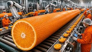 How Orange Juice Is Made In Factory : Orange Juice | Modern Food Processing Line