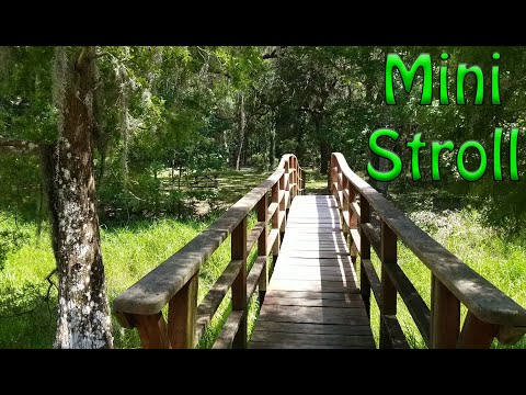 ASMR: Wednesday Mini Stroll - Oct. 28, 2020 🌳👟