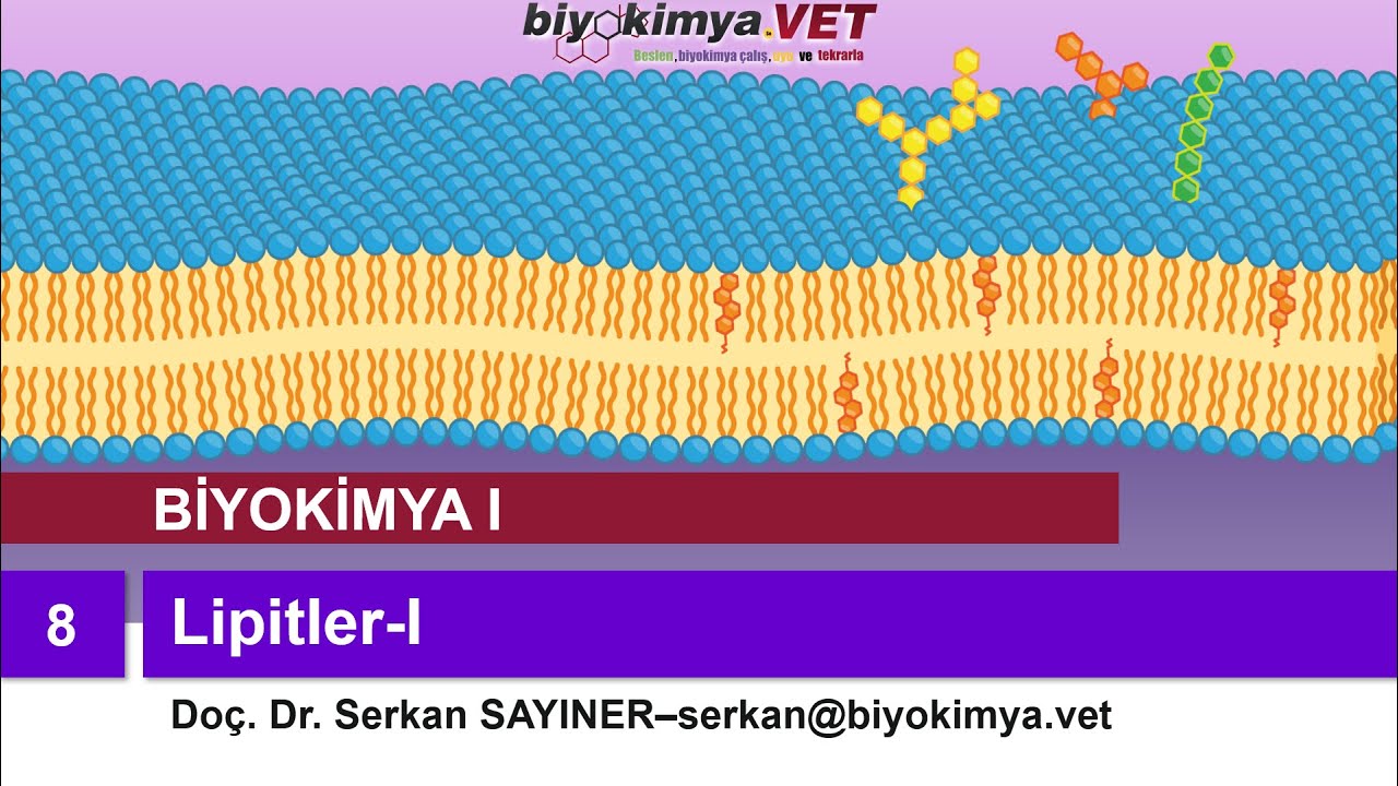 BİYOKİMYA-I | Konu 8: Lipitler-I