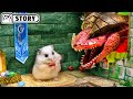  hamster vs dragon in the dungeons  dragons maze  homura ham