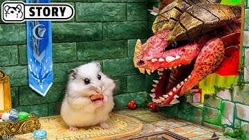 ⚔️ Hamster vs Dragon in the Dungeons & Dragons Maze ⚔️ Homura Ham