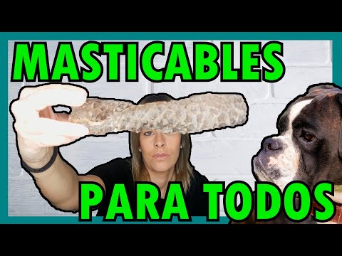 Video: ¿Los masticables cet hextra son seguros para los perros?