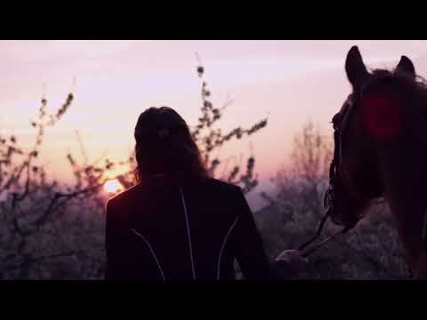 კოსტავების ფილმის თრეილერი,  - Documentary movie trailer